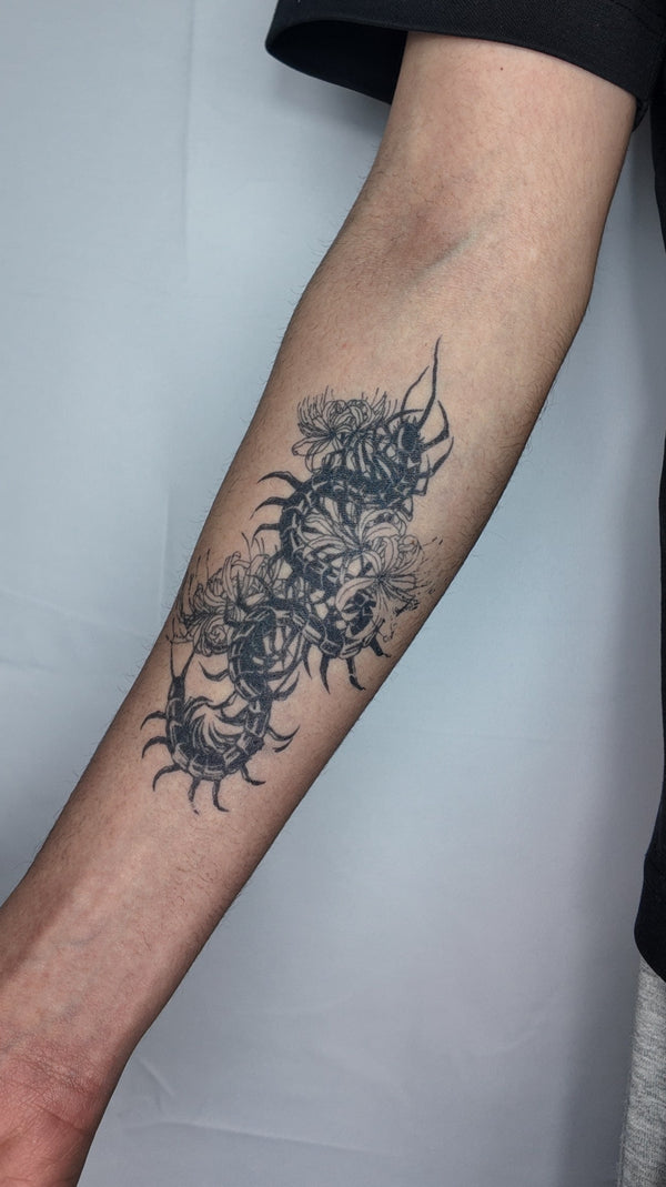 Centipede Inspired By Tokyo Ghoul