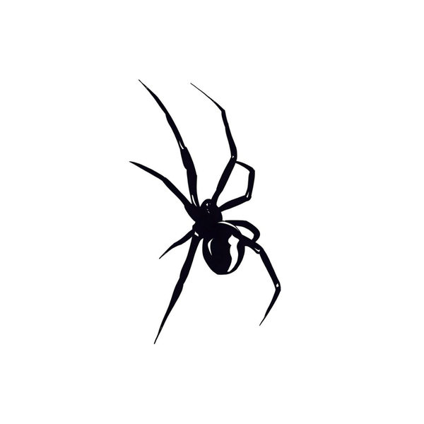 Large Spider Tattoo