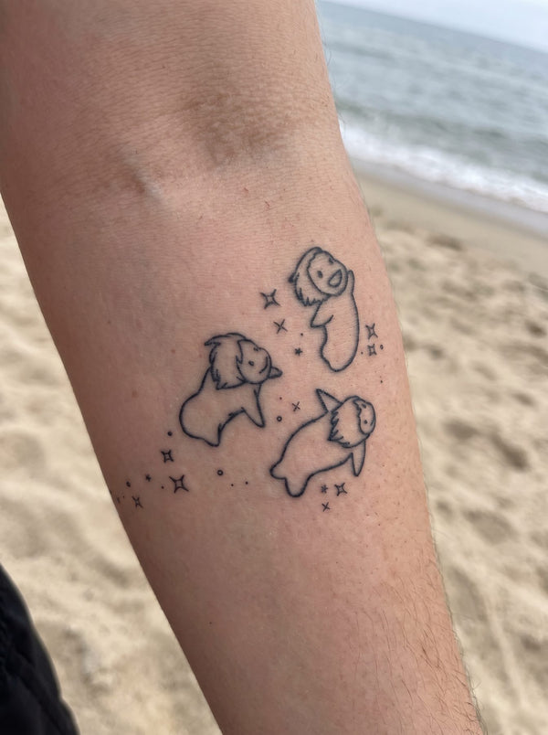 Flying Fishes Inspired By Sea Spirit