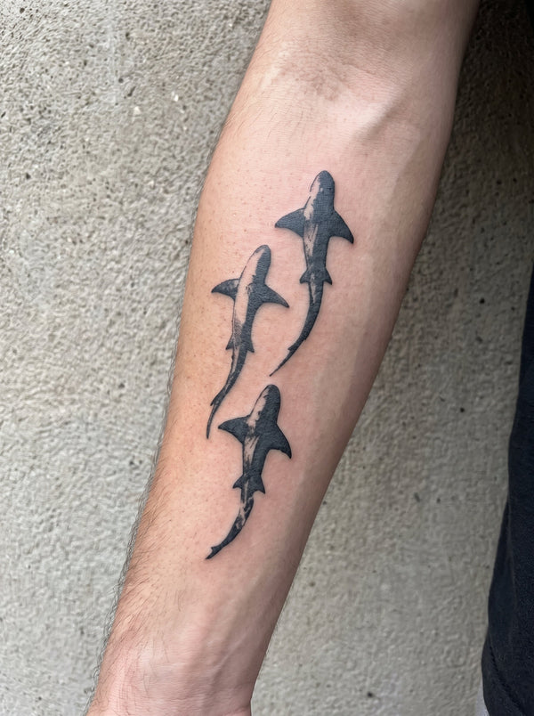 Shark Trio temporary tattoo shown on a forearm