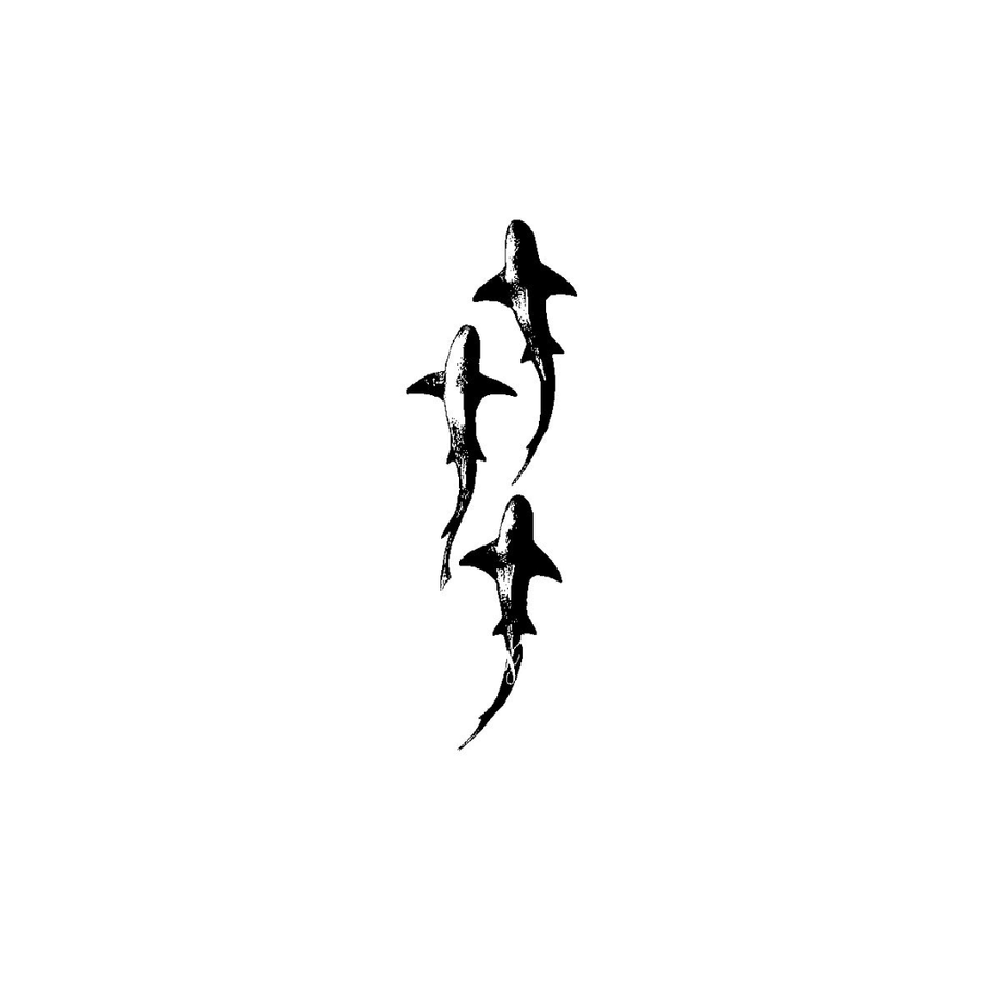 Shark Trio