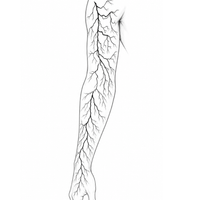 Lightning Sleeve