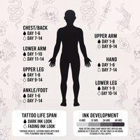 Swift Ink tattoo life span by body placement and ink development timeline