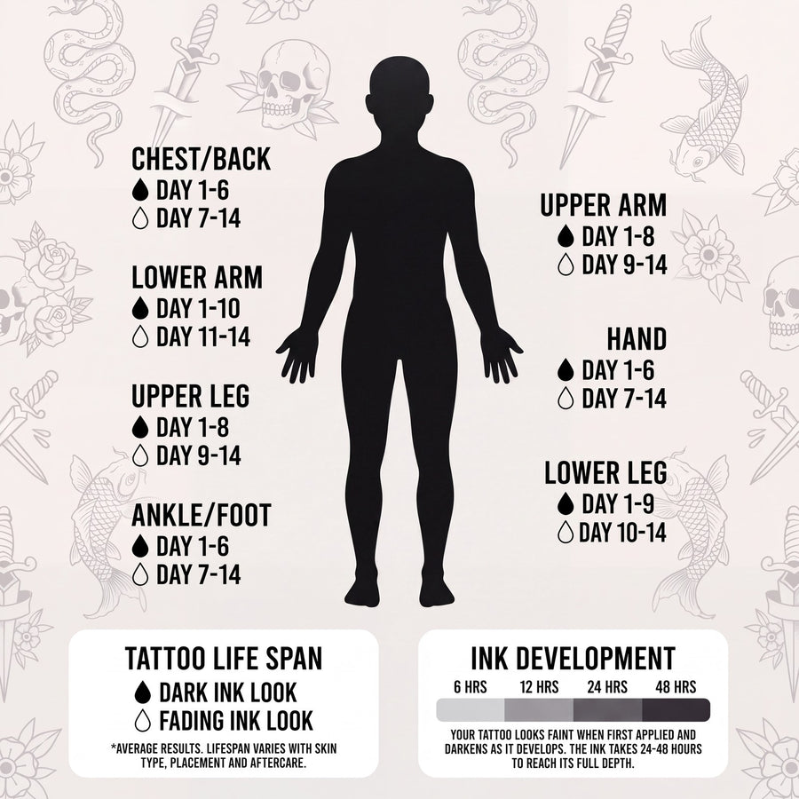 Swift Ink tattoo life span by body placement and ink development timeline