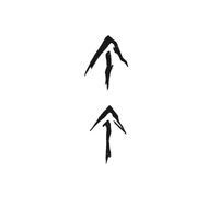 Arrow Inspired By Viking Saga
